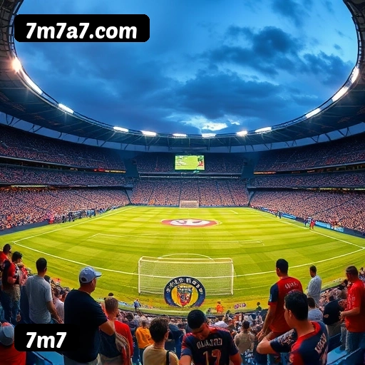 Grandes vencedores 7m7 de São Paulo, Rio de Janeiro, Belo Horizonte - Saques PIX confirmados