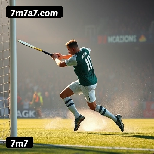 7m7 APP mobile iOS Android - 187 mil downloads São Paulo Rio BH